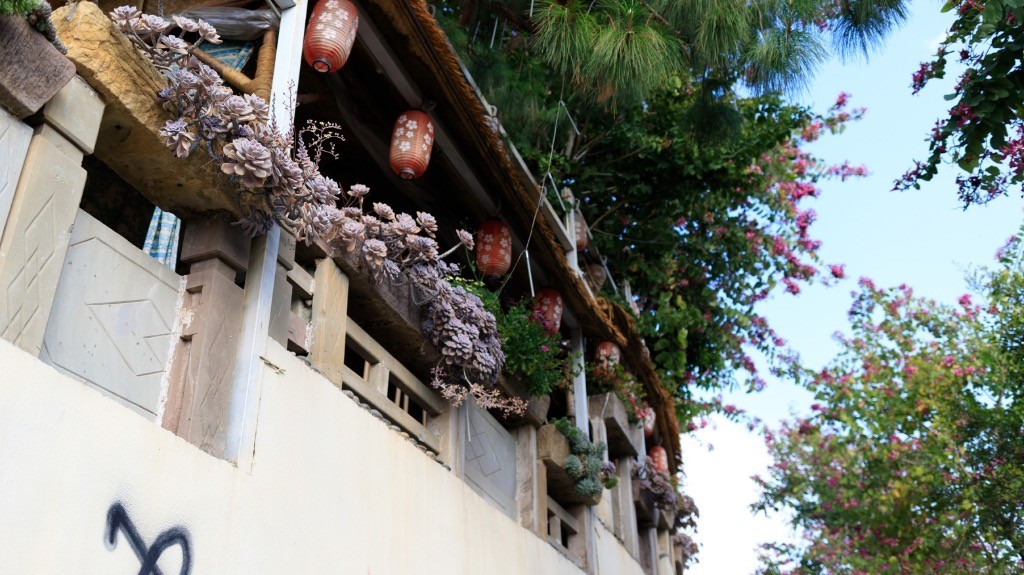 2023年春节风景随拍