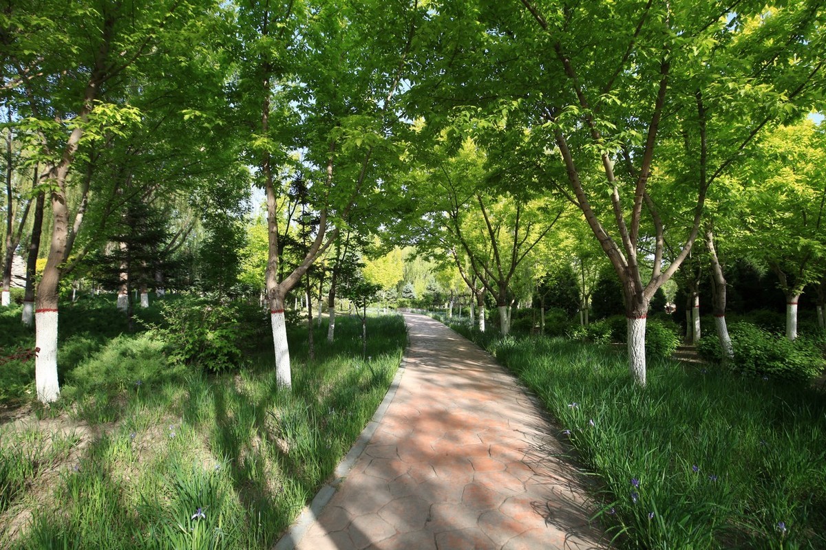 无敌兔真是部好相机！