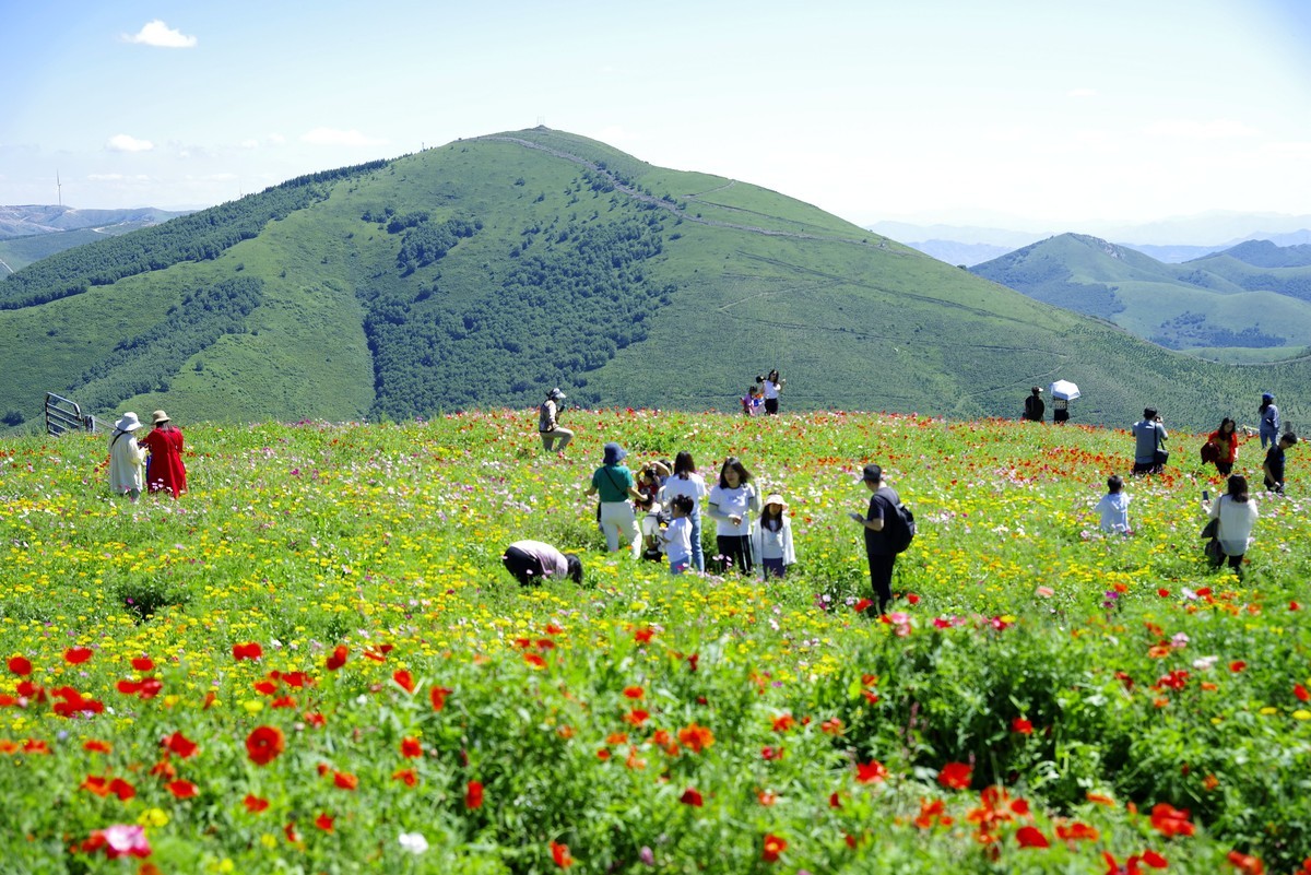 2023——河北省崇礼太舞小镇，到达山顶，这里的风景独好