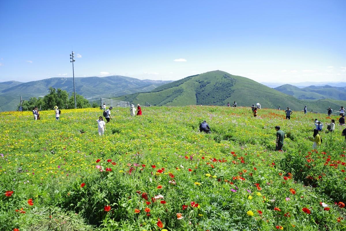 2023——河北省崇礼太舞小镇，到达山顶，这里的风景独好