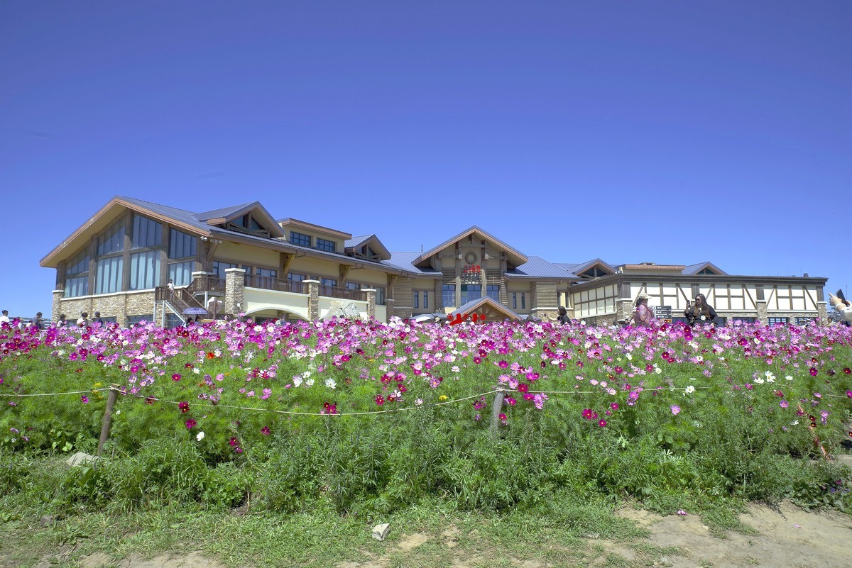 2023——河北省崇礼太舞小镇，到达山顶，这里的风景独好