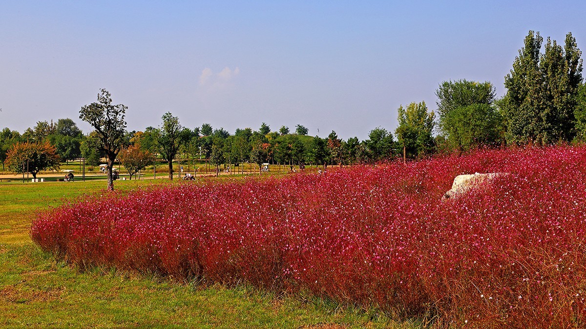 汉风起兮城    长安未央宫