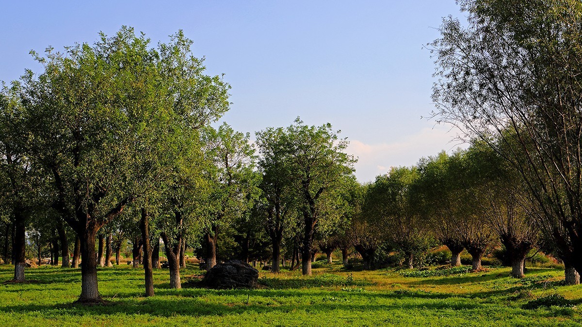 汉风起兮城    长安未央宫