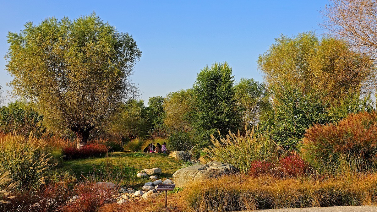 汉风起兮城    长安未央宫