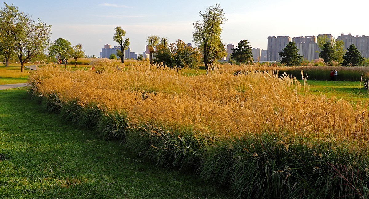 汉风起兮城    长安未央宫