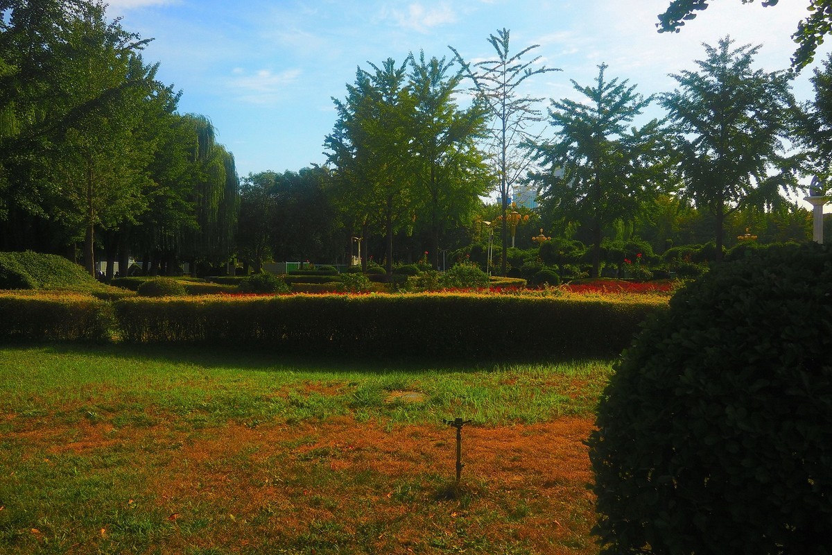 秋天里的西清公园