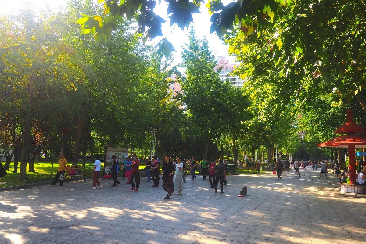 秋天里的西清公园