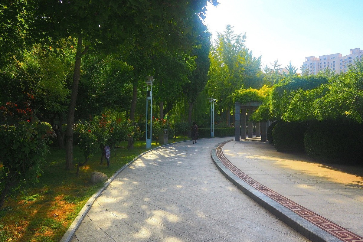 秋天里的西清公园