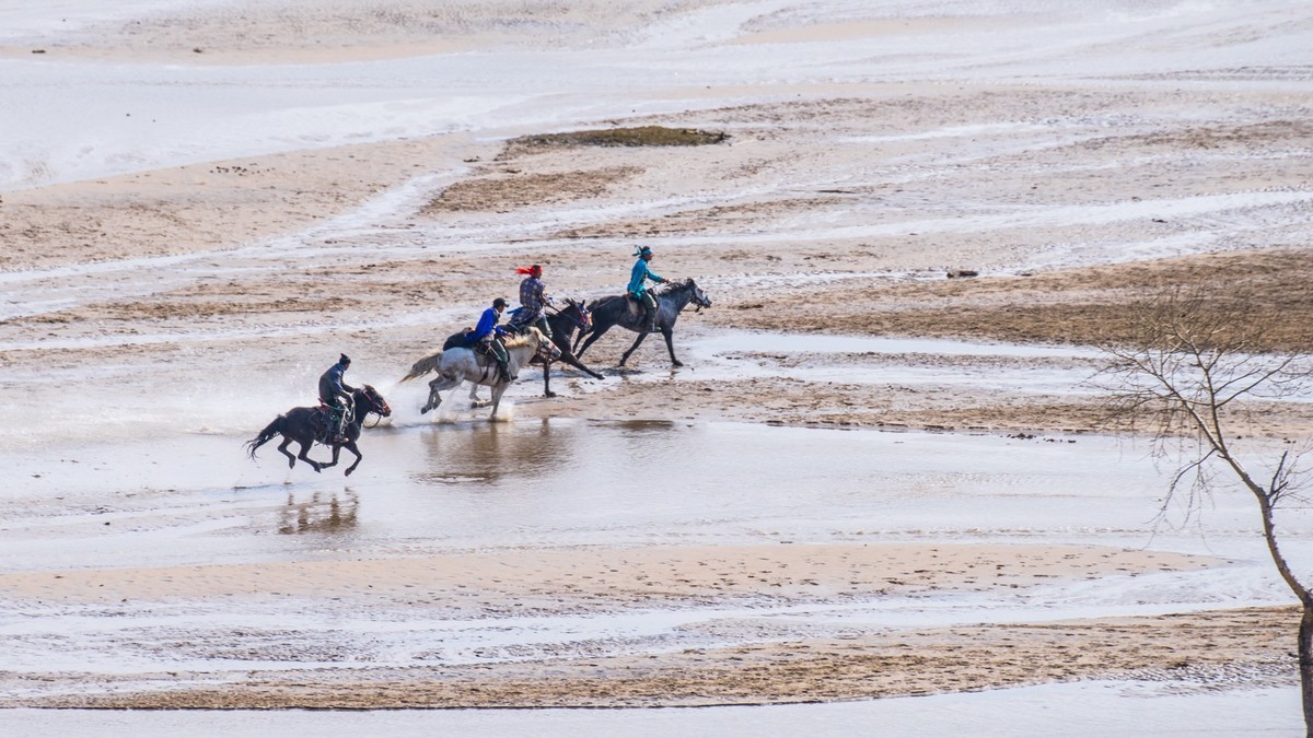 克旗天太永奔马