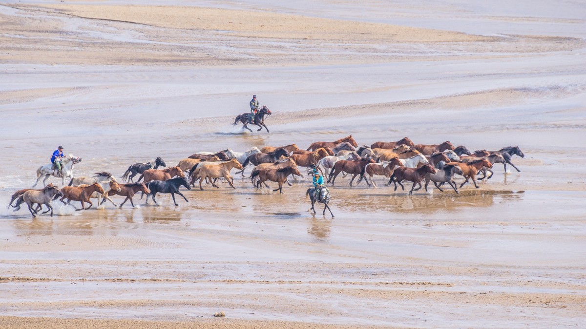 克旗天太永奔马