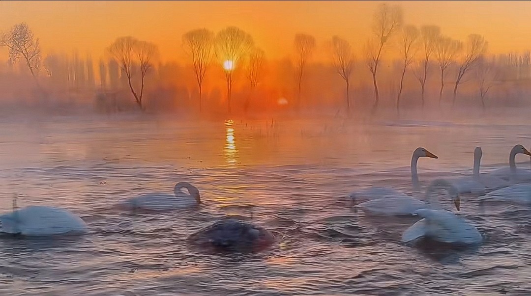 迎接2024元旦的曙光！