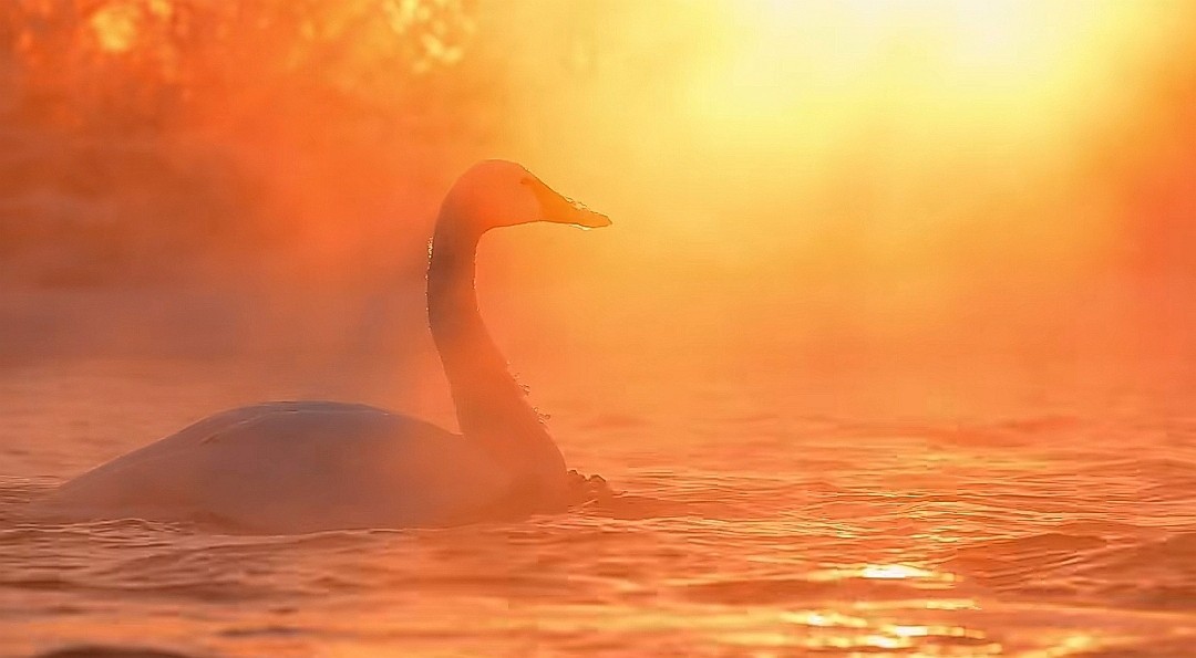 迎接2024元旦的曙光！