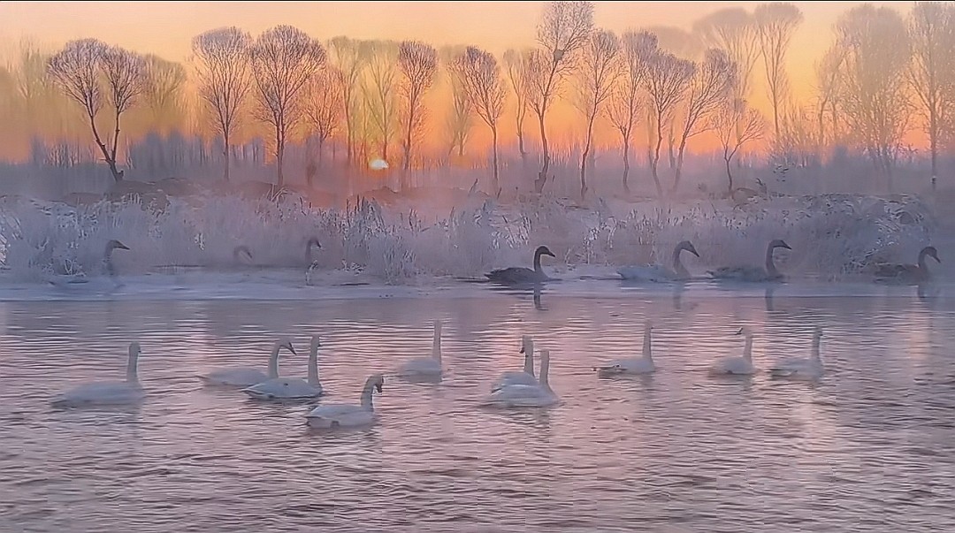 迎接2024元旦的曙光！