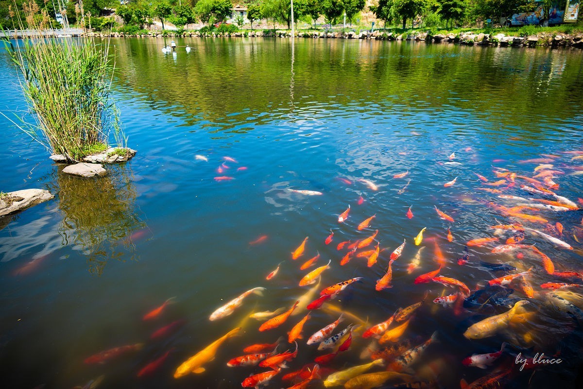 【连云港旅行纪实】花果山（1）