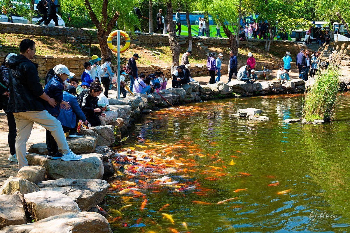 【连云港旅行纪实】花果山（1）