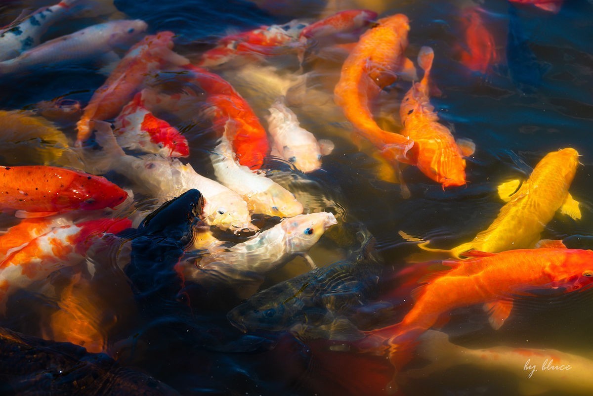 【连云港旅行纪实】花果山（1）