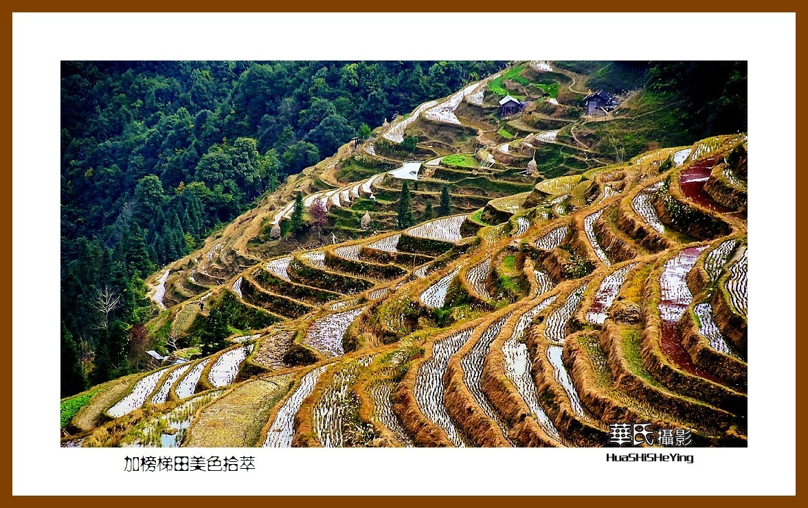 2021南行慢游（贵州077）—加榜梯田美色拾萃之三（黔东南州从江县）