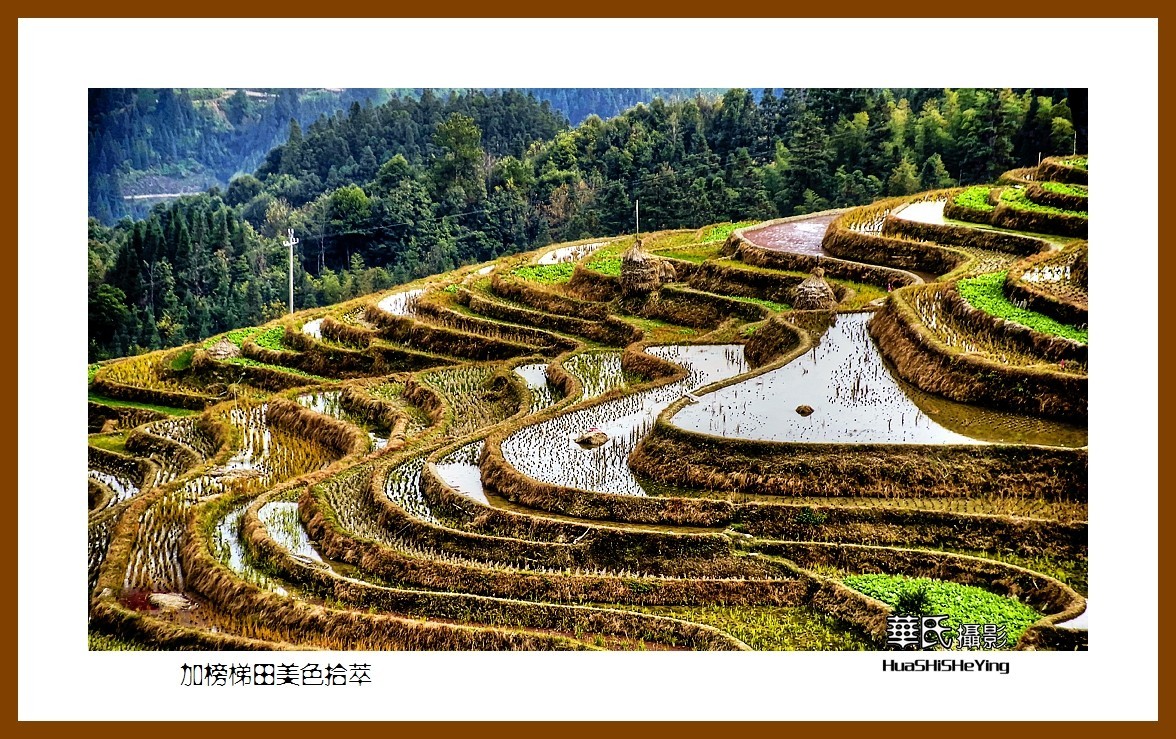 2021南行慢游（贵州077）—加榜梯田美色拾萃之三（黔东南州从江县）