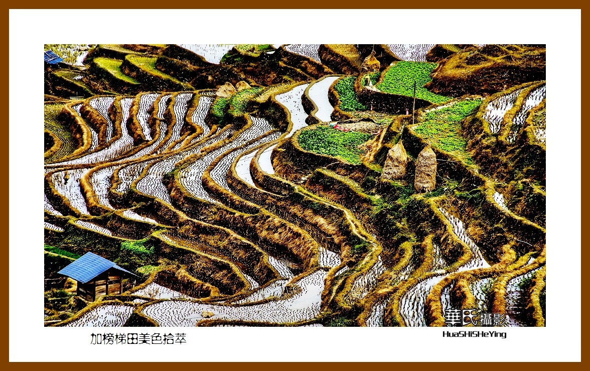 2021南行慢游（贵州077）—加榜梯田美色拾萃之三（黔东南州从江县）