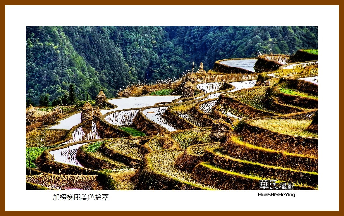 2021南行慢游（贵州077）—加榜梯田美色拾萃之三（黔东南州从江县）