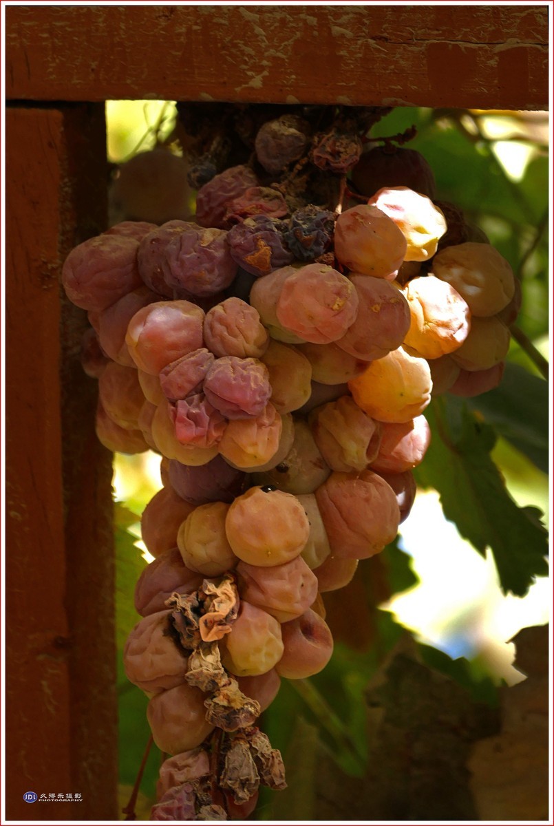 2024-（201）全国文明村恰勒瓦西（二）