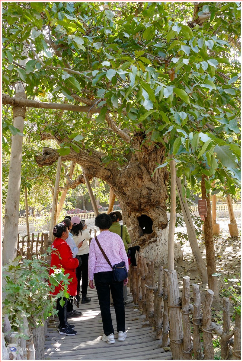 2024-（201）全国文明村恰勒瓦西（二）