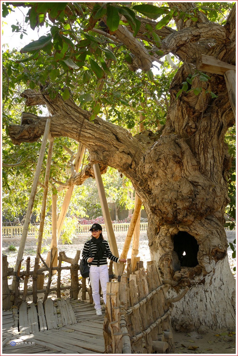 2024-（204）全国文明村恰勒瓦西（五）