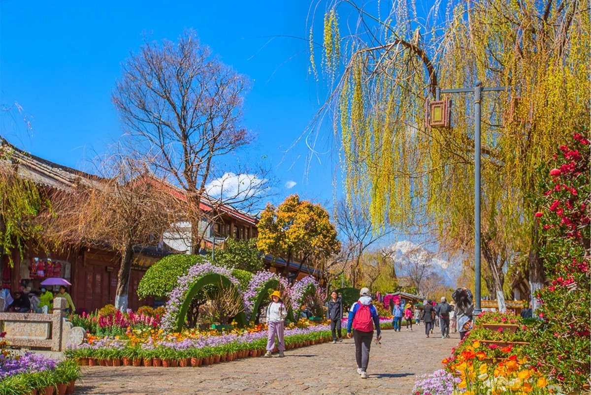 2024-08-22云南丽江古城（七）