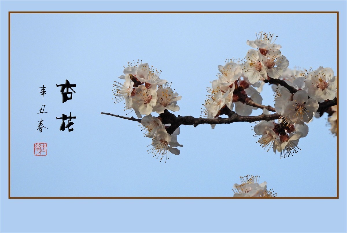 #版主坐堂#  2022年1～3月《佳能EF 16-35mm f/2.8L II USM镜头》星空(中国)优秀作品选编