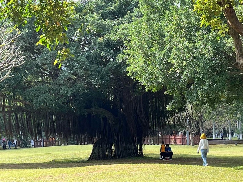 《不老松：纪实摄影》16我的妹妹、妹夫和姑爷自驾車海南环島游!