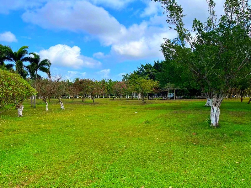 《不老松：纪实摄影》16我的妹妹、妹夫和姑爷自驾車海南环島游!