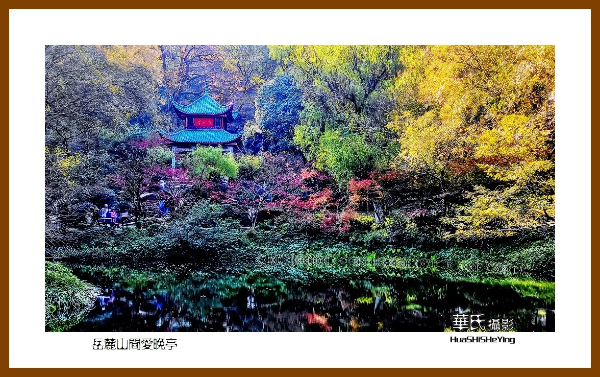 2021南行慢游湖南039——岳麓山间爱晚亭(长沙市)-中关村在线摄影论坛