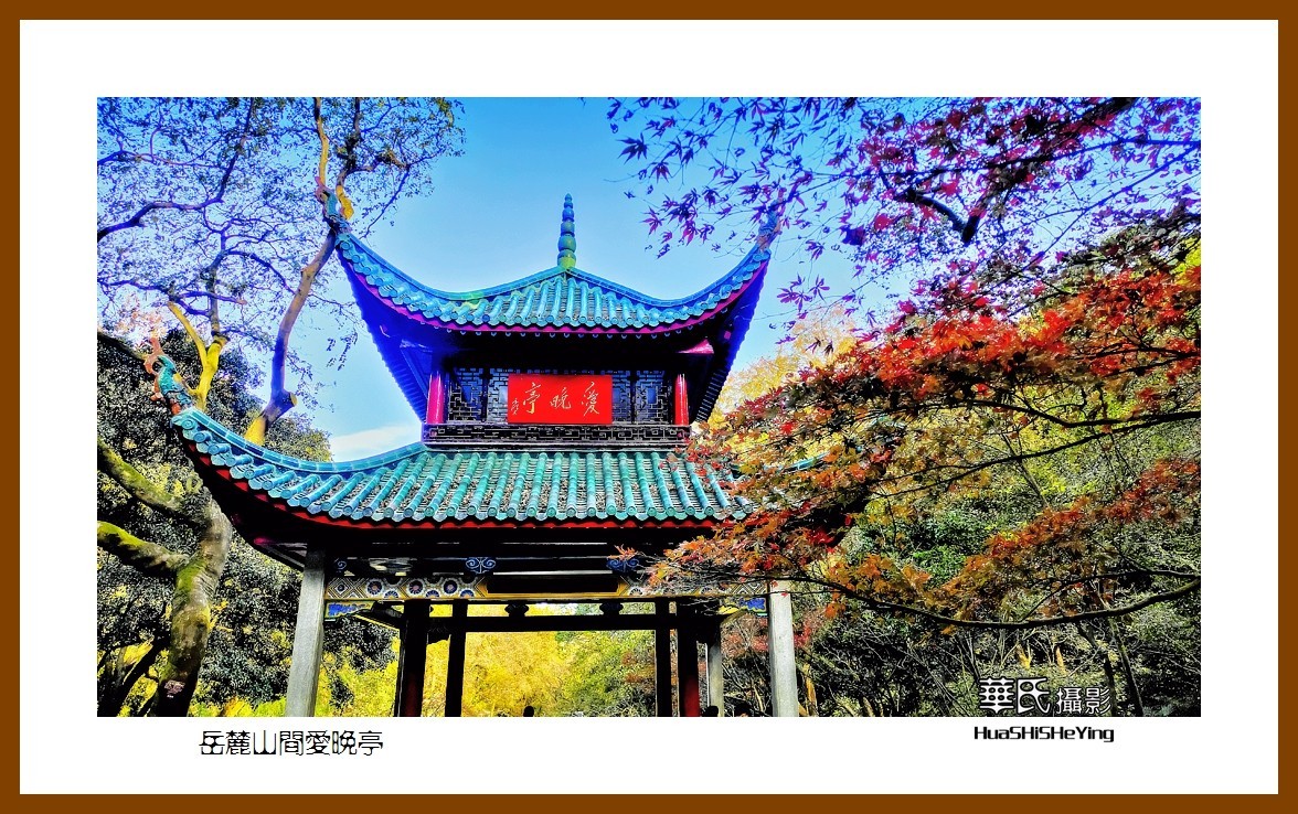 2021南行慢游湖南039——岳麓山间爱晚亭(长沙市)-中关村在线摄影论坛