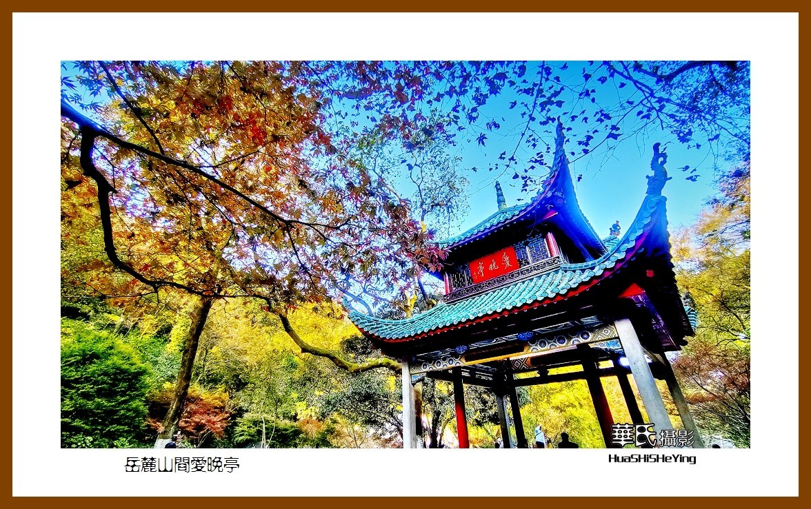 2021南行慢游湖南039——岳麓山间爱晚亭(长沙市)-中关村在线摄影论坛