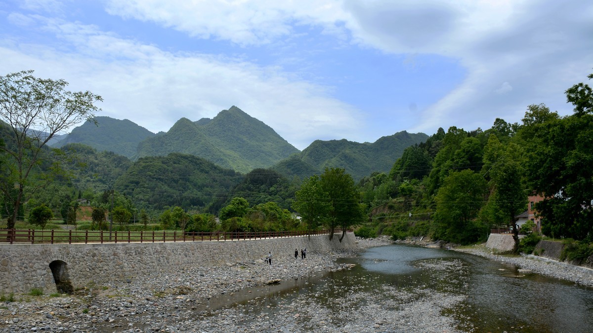 骆家坝游拍四（2023138）