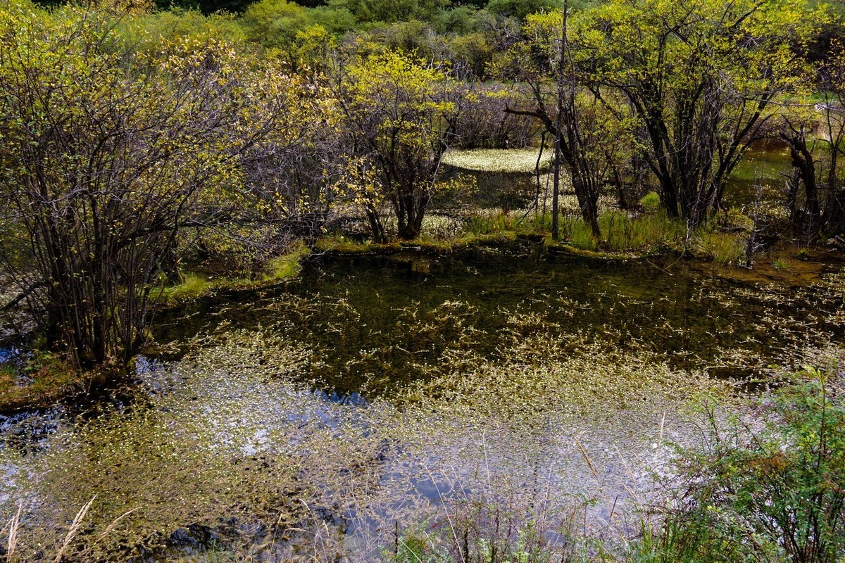 四川随拍牟尼沟所见