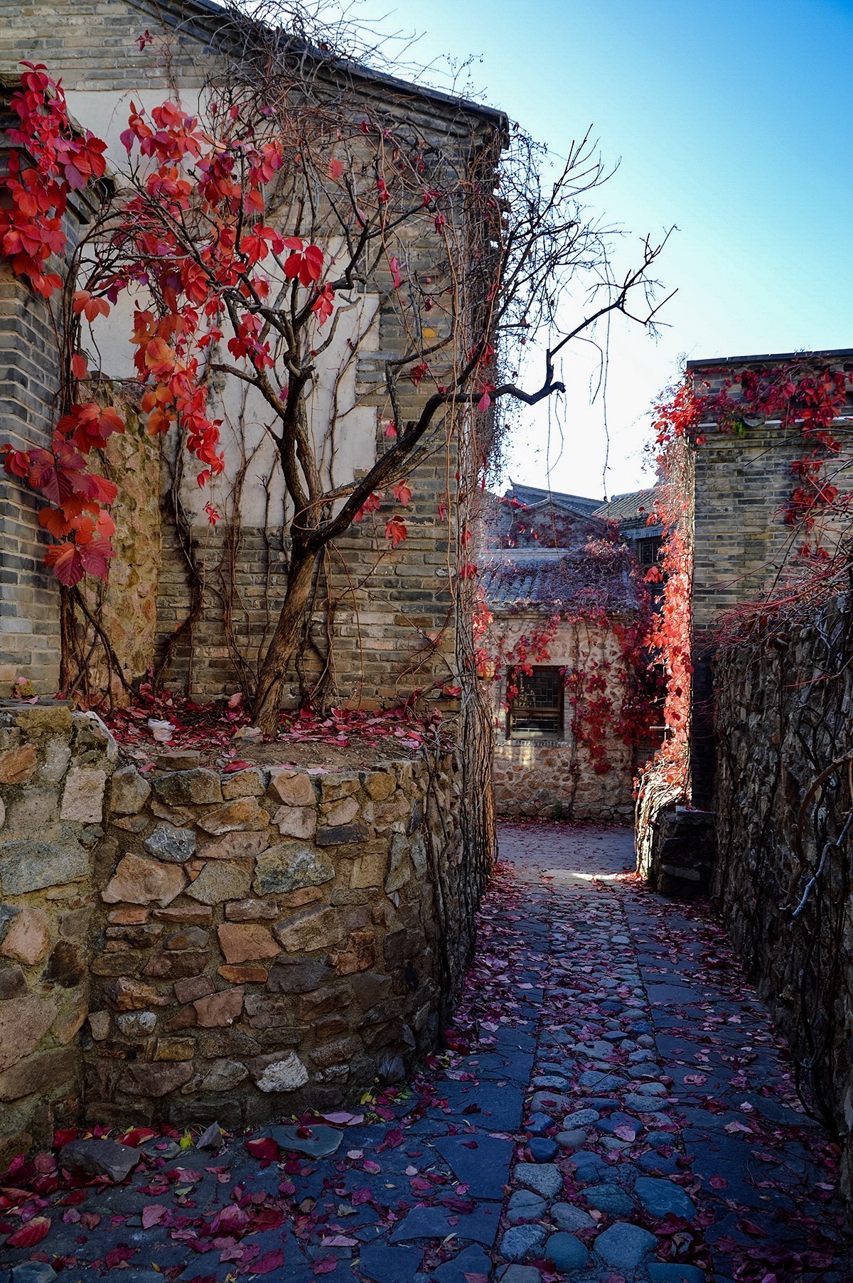 2023年-古北水镇纪实拍-1066