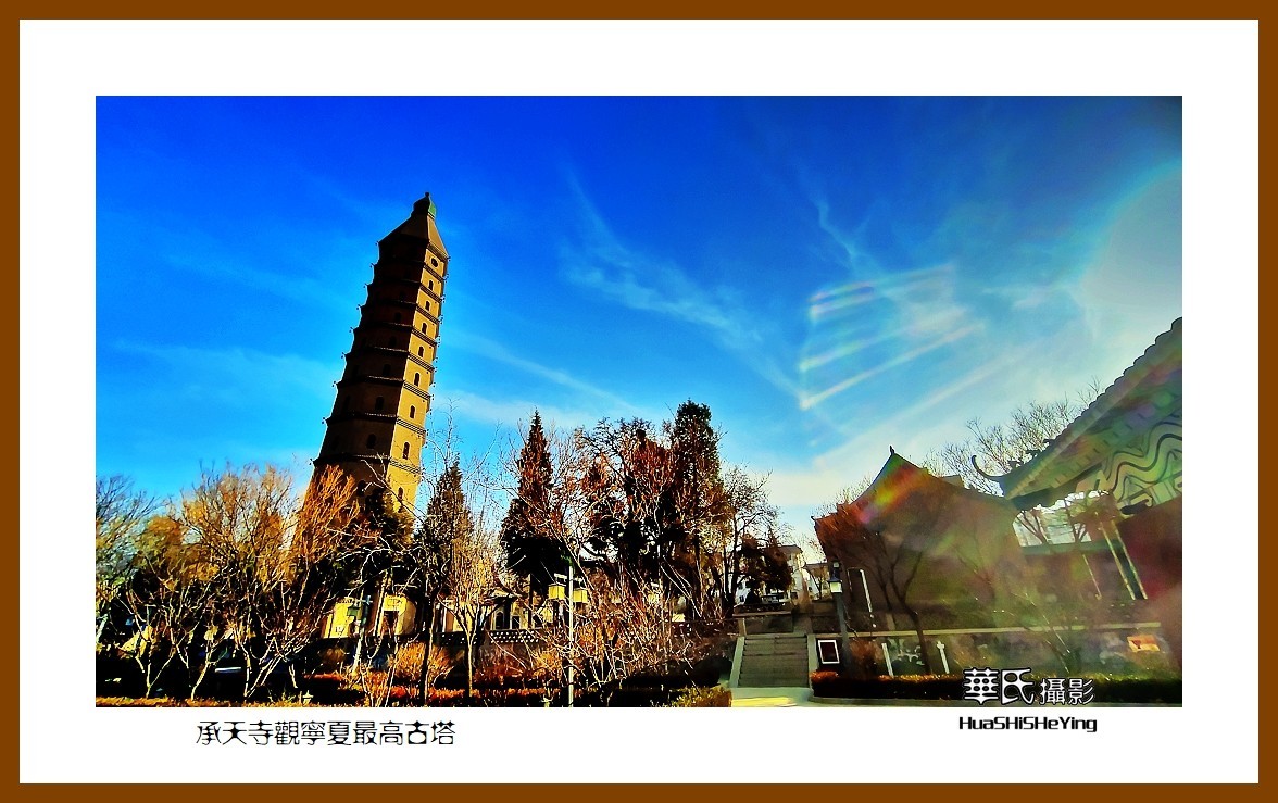 2023西行游记（宁夏037）——承天寺观宁夏最高古塔（银川市）