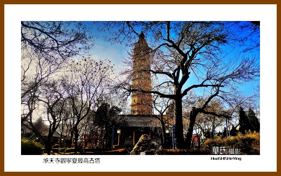 2023西行游记（宁夏037）——承天寺观宁夏最高古塔（银川市）