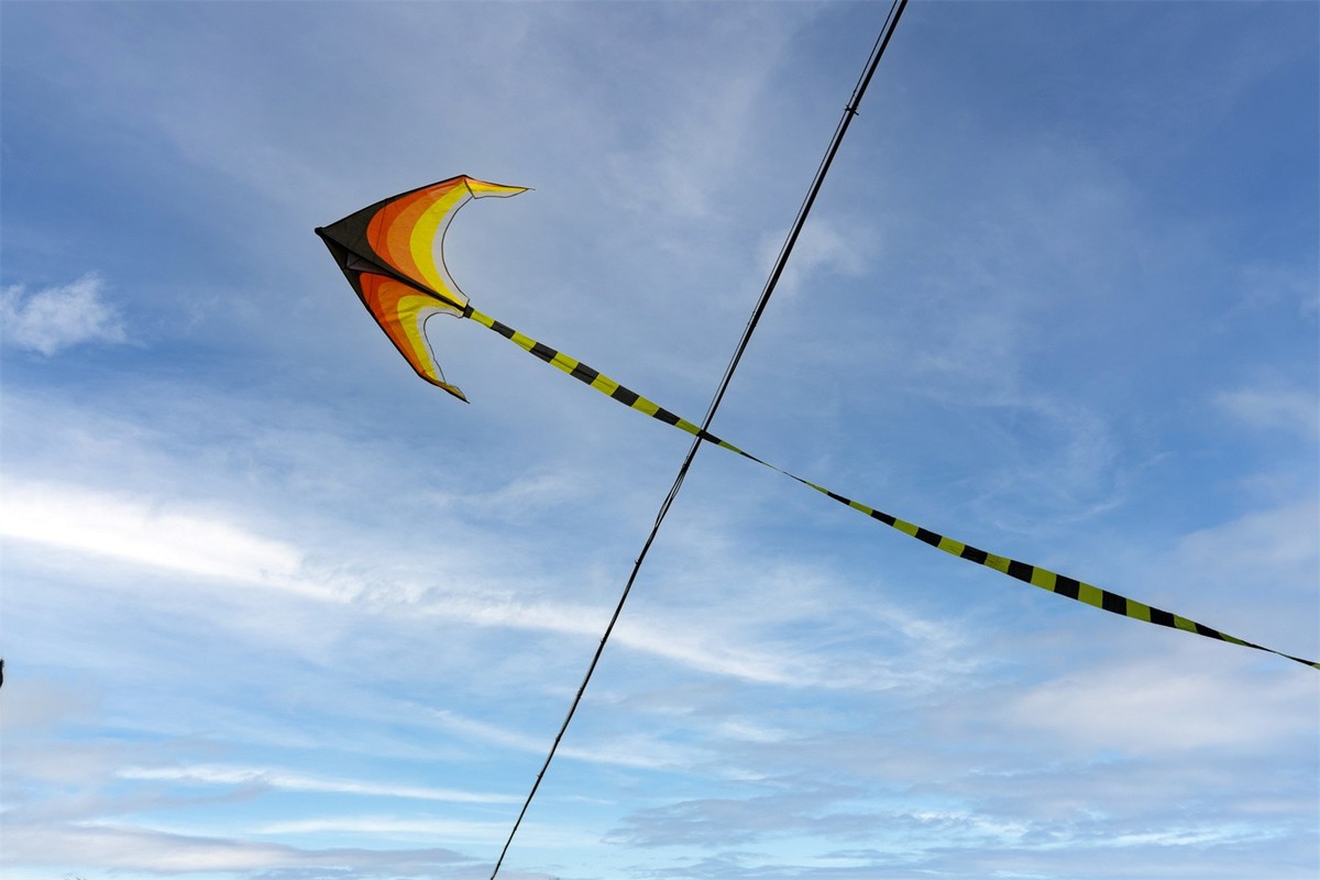 油菜花节景美人更美