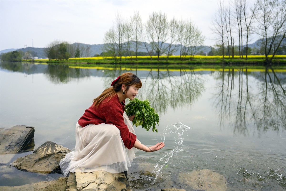 油菜花节景美人更美