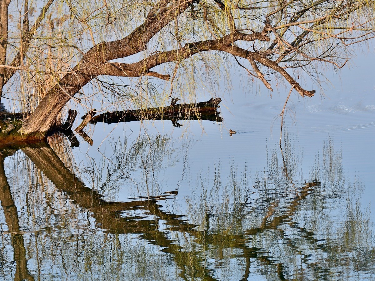 【视觉光影】随拍几张杂片