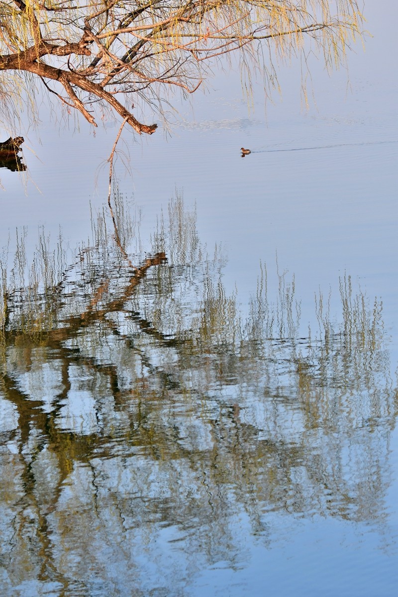 【视觉光影】随拍几张杂片