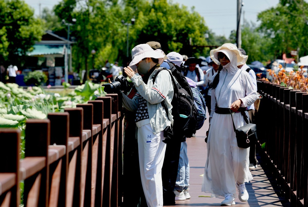 酷暑天的拍荷人