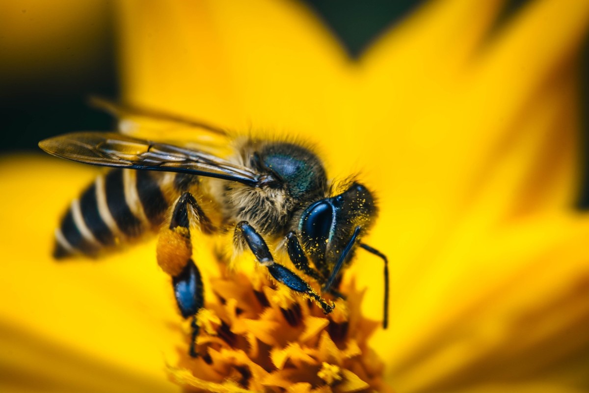 像你像他，像那野草野花。。。。