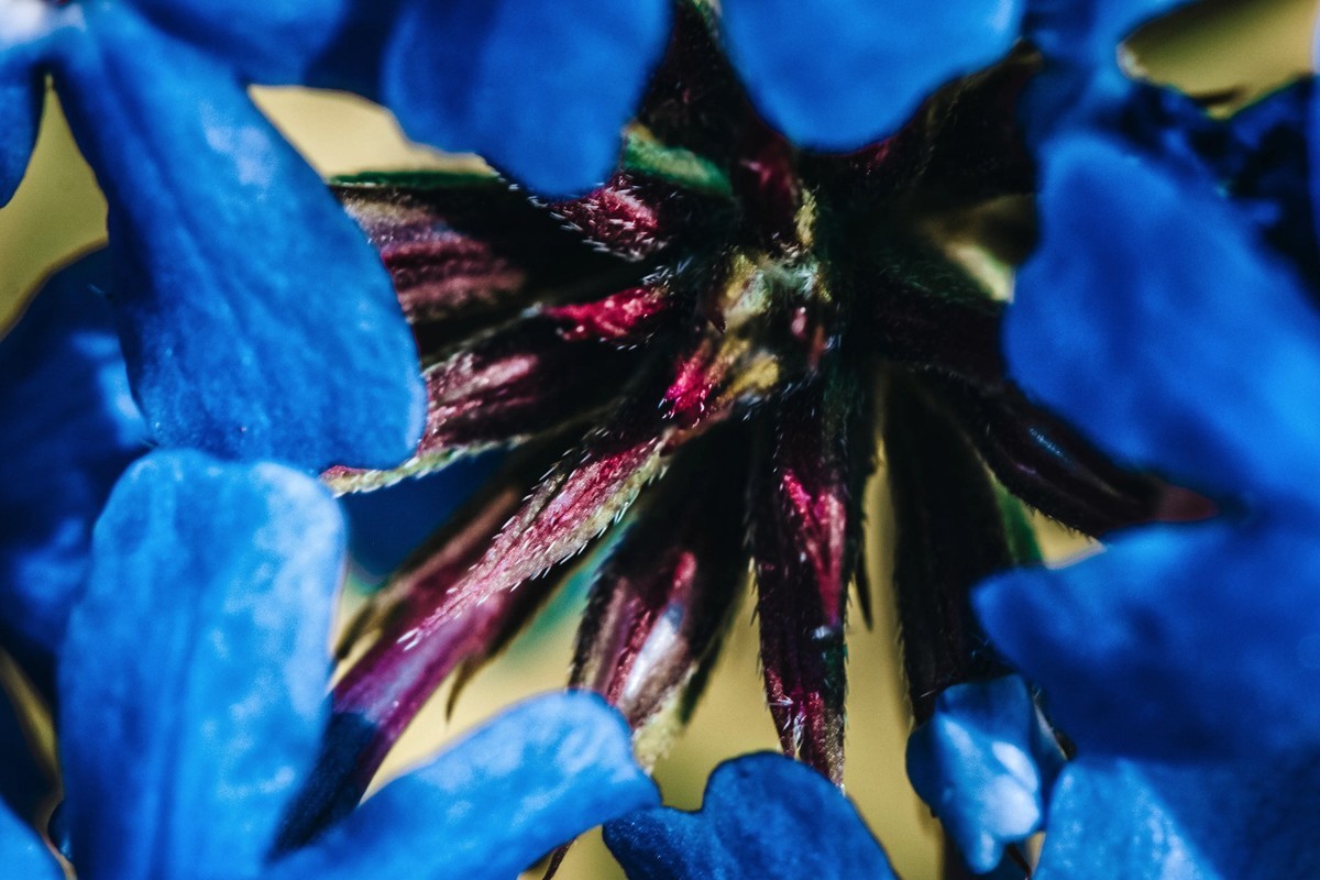 像你像他，像那野草野花。。。。