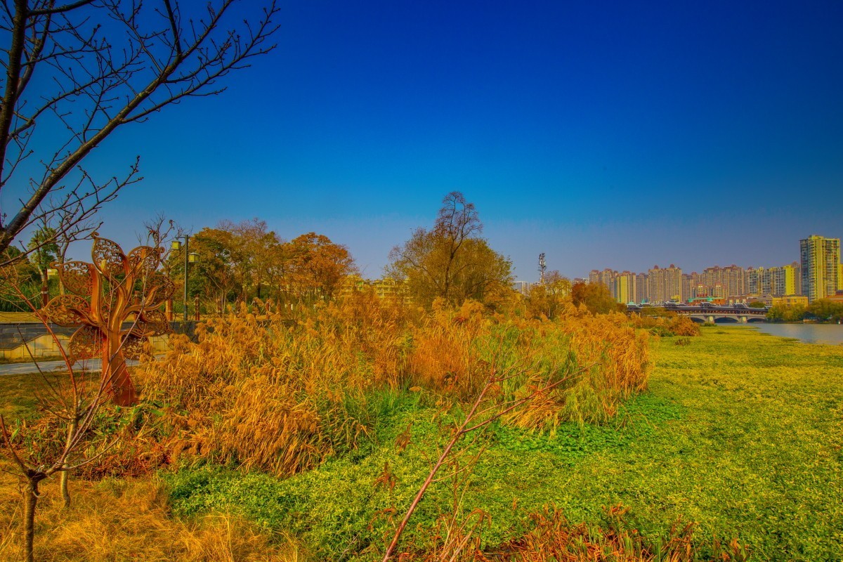 常德柳叶湖风景 16