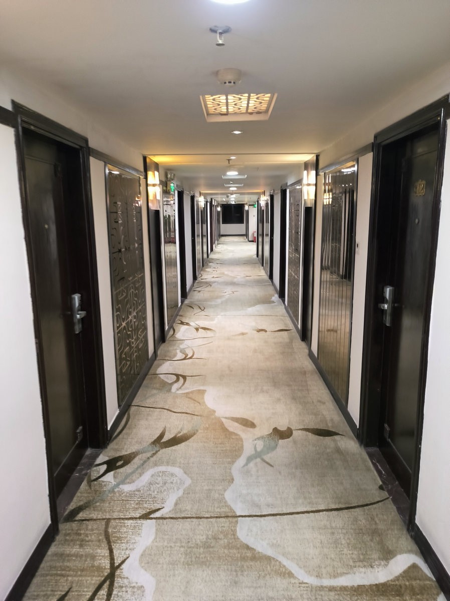 2025春节 广东行（92）来到大亚湾