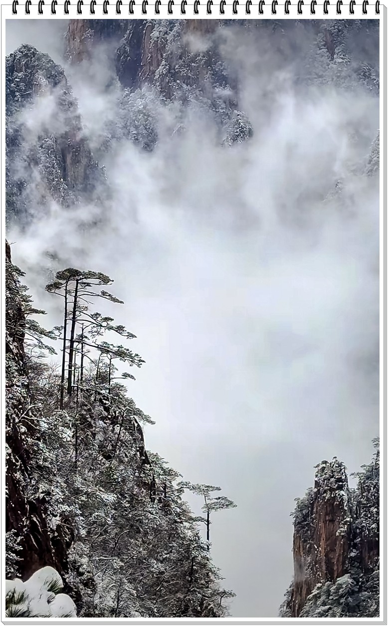 2025年- 黄山风光纪实抓拍-0291