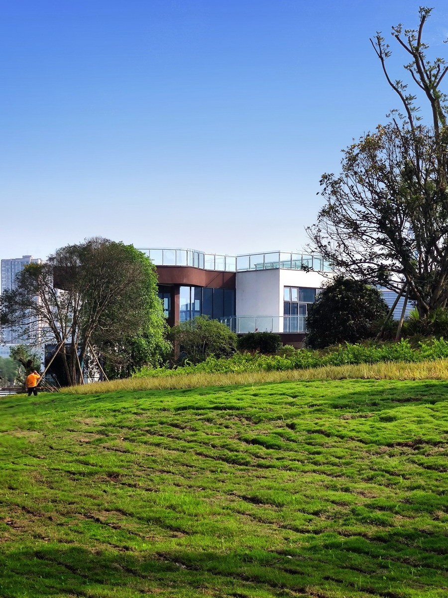 玉泉湖公园小景（第四集）——11P